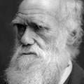 Darwin